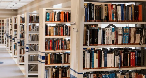 Ricerca bibliografica